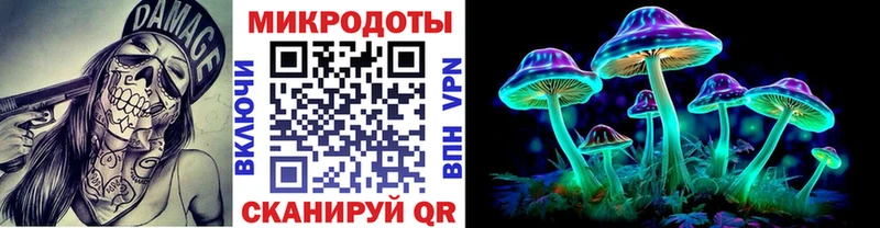 Галлюциногенные грибы Psilocybine cubensis  Звенигород 