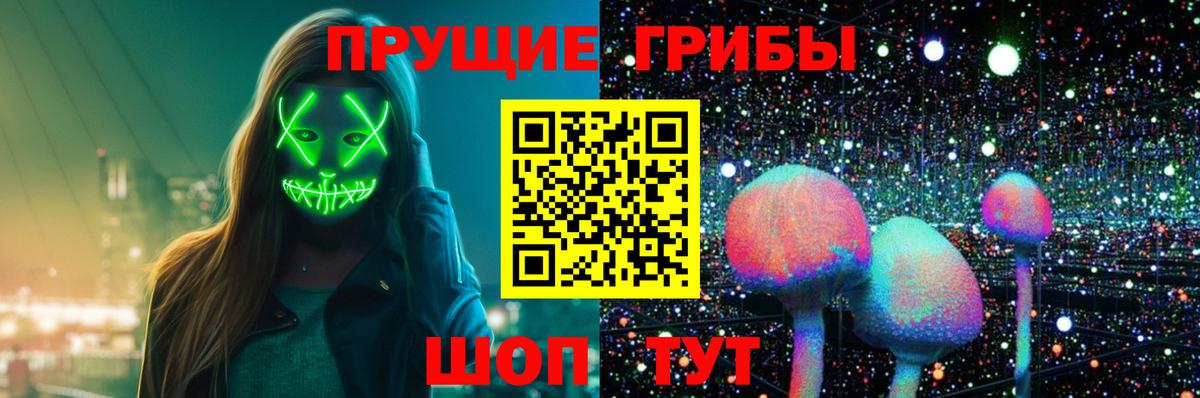 Псилоцибиновые грибы мухоморы Звенигород