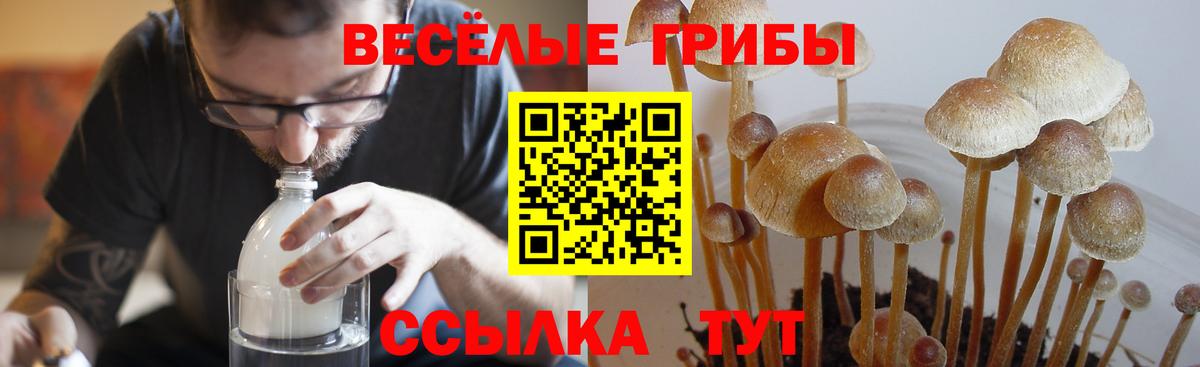 Звенигород  Галлюциногенные грибы мицелий  Вход с VPN 