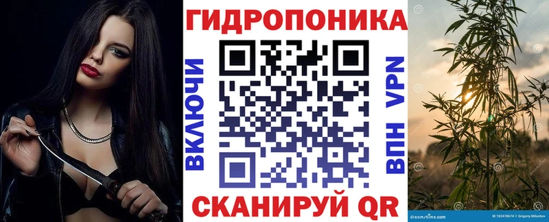 магазин продажи   Звенигород  МАРИХУАНА марихуана 